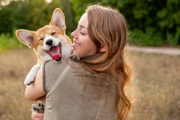 Dog Friendship Quotes